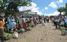 Lạm phát tại Haiti tăng lên mức cao nhất trong gần 20 năm