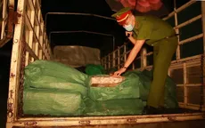 Phát hiện ô tô chở 2 tấn chân gà không rõ nguồn gốc