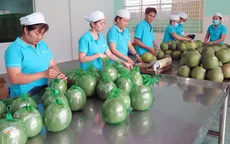GDP ngành nông nghiệp tăng cao nhất 3 năm