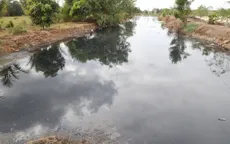 Tây Ninh bắt quả tang một công ty xả nước thải giặt rửa mủ cao su chưa xử lý ra môi trường