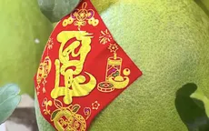 Tết tiết kiệm vẫn đong đầy sự ngọt ngào