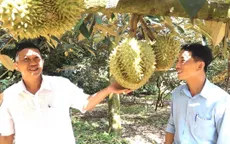 Sẵn sàng cho vùng nguyên liệu sầu riêng xuất khẩu