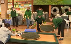 Không khí lao động sản xuất ngày giáp Tết trên đất chè Tân Cương