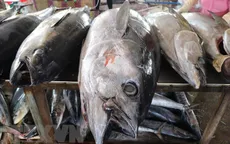 Lần đầu tiên cá ngừ trở thành ngành hàng giá trị tỷ USD