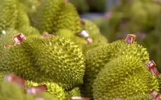 Năm 2023, ngành hàng trái cây chinh phục mục tiêu 4 tỷ USD
