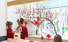 Ăn Tết xưa theo cách mới