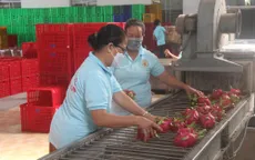 Hơn 37.000 tấn hoa quả xuất qua cửa khẩu Lào Cai