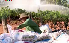 Nông dân Tây Nguyên ra đồng sản xuất đầu năm