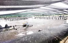Cấp thiết đầu tư hệ thống thủy lợi