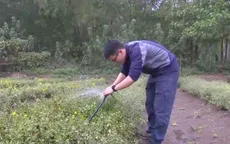 Khát vọng làm giàu trên quê hương