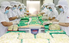 Doanh nghiệp hồ hởi bước vào mùa sản xuất mới