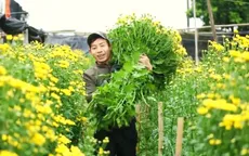 Mong ước Tết từ những làng hoa