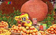 Nhiều hoạt động hấp dẫn tại Lễ hội Quýt hồng lần thứ I