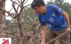 Nhà vườn tất bật “hồi sinh” đào sau Tết