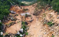 Phá rừng phòng hộ trên núi Thị Vải, 3 người bị phạt gần 600 triệu đồng