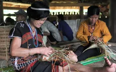 Tạo sinh kế ổn định để người dân gắn bó với rừng