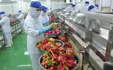 Thúc đẩy xuất khẩu chính ngạch sang Trung Quốc