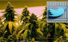 Twitter cho phép quảng cáo cần sa "có trách nhiệm"