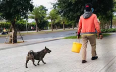 Thú cưng thả rông, không rọ mõm: Tình yêu động vật phải đi liền với trách nhiệm