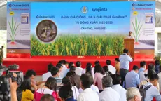 Incipio 200SC - Giải pháp đột phá công phá tính kháng của sâu hại