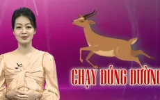Nói chuyện yêu đương với con cái: Không vẽ đường thì hươu vẫn chạy!