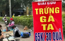 Thông tin "giải cứu trứng gà, vịt cho người dân Liên Châu" là sai sự thật