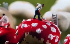 Triển lãm quốc tế lớn nhất dành cho các tác phẩm tí hon