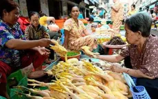 Bé gái ở Campuchia tử vong do cúm gia cầm H5N1