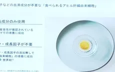 Gan ngỗng nhân tạo từ phòng thí nghiệm Nhật Bản