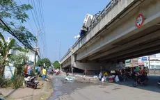 Tiền Giang: Xe tải chở cá lật ngang trên cầu, nhiều tấn cá vương vãi