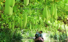 Mỗi tỉnh, thành có ít nhất 1 điểm du lịch nông thôn vào 2025