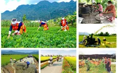 Tháo gỡ khó khăn thực hiện 3 chương trình mục tiêu quốc gia