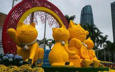 Linh vật mèo của Đà Nẵng sẽ được xử lý như thế nào khi hết Tết?
