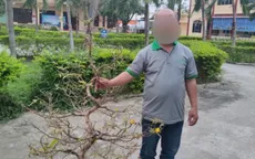 Đà Nẵng: "Mai tặc" sa lưới trong đêm