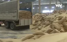 Giá lương thực thế giới giảm tháng thứ 10 liên tiếp