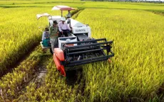 1 phải 5 giảm - kỹ thuật canh tác lúa giúp giảm phát thải, giảm chi phí