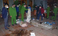 Thái Nguyên: Tuyên phạt Chủ tịch xã giết hổ nấu cao tại nhà 36 tháng tù