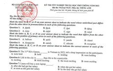 Kỳ thi tốt nghiệp THPT 2023: Nhận định đề tham khảo môn Tiếng Anh