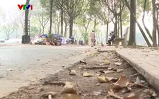 Cần giải quyết dứt điểm những sai phạm ở công viên Tuổi Trẻ
