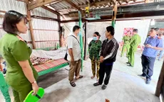 Đánh chết em rể vì trúng đề không chịu trả nợ