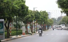Hà Nội trồng mới 500.000 cây xanh