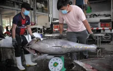 Giá cá ngừ giảm mạnh