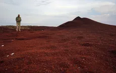 Tảo nở hoa bao trùm đe dọa không gian ở vịnh Mexico và Caribe