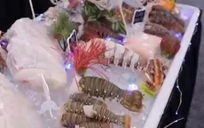 Gần 20 doanh nghiệp Việt tham gia Hội chợ Thủy sản Bắc Mỹ