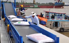 Gạo xuất khẩu Việt Nam hướng tới tăng trưởng bền vững