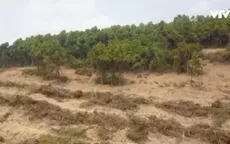 Nghệ An: Liên tiếp các vụ ngang nhiên chặt phá rừng, hành hung cả cán bộ