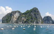 Một Chủ tịch phường bị bắt vì liên quan đến "bảo kê" nuôi trồng thủy sản