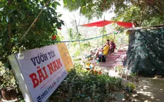 Xử phạt hàng loạt chủ công trình trái phép trên bán đảo Sơn Trà