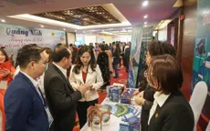 Crystal Holidays đi đầu khai thác các tour du lịch mới tại Vân Đồn, Quảng Ninh