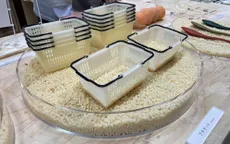 Sản xuất nhựa sinh học từ gạo